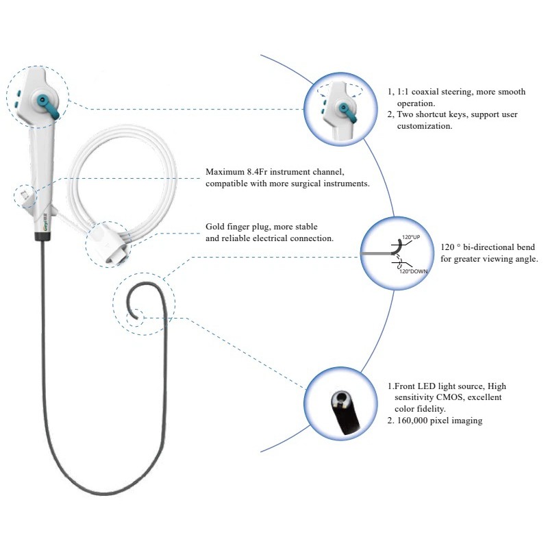 Flexible Choledochoscope