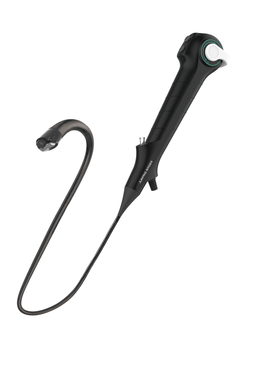 A flexible single-use endoscope with an ergonomic handle and a looped insertion tube